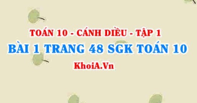 Bài 1 trang 48 SGK Toán 10 tập 1 Cánh Diều